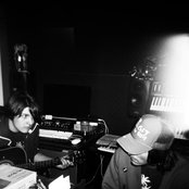 Miniature Tigers - List pictures