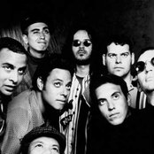 Desorden Publico - List pictures