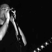 Bay Laurel - List pictures