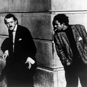 Yello - List pictures