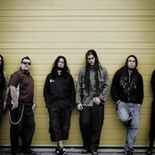 Ill Niño - List pictures