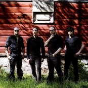 Viikate - List pictures