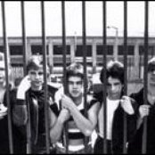 Cock Sparrer - List pictures