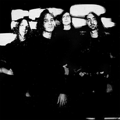 Loop - List pictures