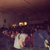 Husky - List pictures