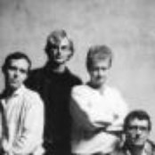 Adolphson Falk - List pictures