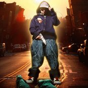 Termanology - List pictures