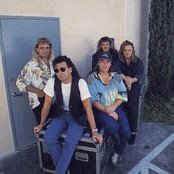 Saga - List pictures