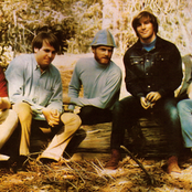Beach Boys - List pictures
