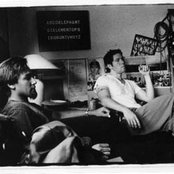 Polar Bear - List pictures