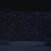 Daniel Rossen - List pictures