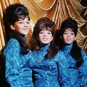 The Ronettes - List pictures