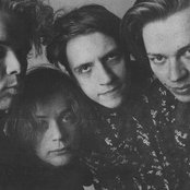 Aknestik - List pictures