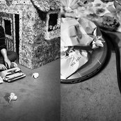 Woodpigeon - List pictures