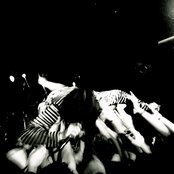 The Colour - List pictures