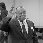 Roosevelt Sykes - List pictures