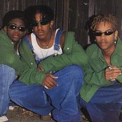 Immature - List pictures