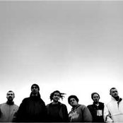 Dub Inc - List pictures