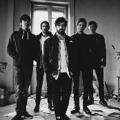 Foals - List pictures