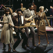 Chic - List pictures