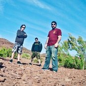 Buffalo - List pictures