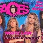 White Lion - List pictures