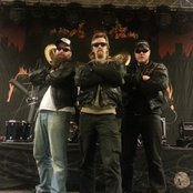 Raubtier - List pictures