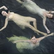 Shaye - List pictures