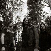 Cervello - List pictures