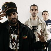 Sniper - List pictures