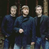 Doves - List pictures