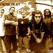 Ill Niño - List pictures