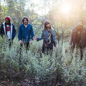 Ruby The Hatchet - List pictures