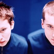 Lamb - List pictures