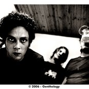 Millionaire - List pictures