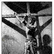 Foetus - List pictures