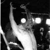 Integrity - List pictures