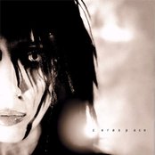 Kidneythieves - List pictures