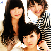 Perfume - List pictures