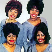 The Shirelles - List pictures