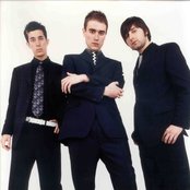 Zoot Woman - List pictures