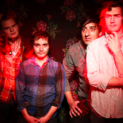 Grizzly Bear - List pictures