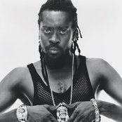 Beanie Man - List pictures