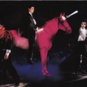 Arcadia - List pictures