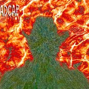 Madcap - List pictures