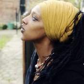 Mo'kalamity - List pictures