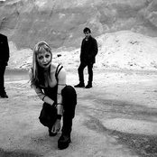 Tapping The Vein - List pictures