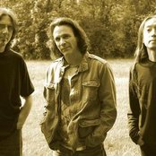 The Jelly Jam - List pictures