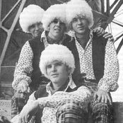 The Golliwogs - List pictures