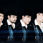 Calibre 50 - List pictures